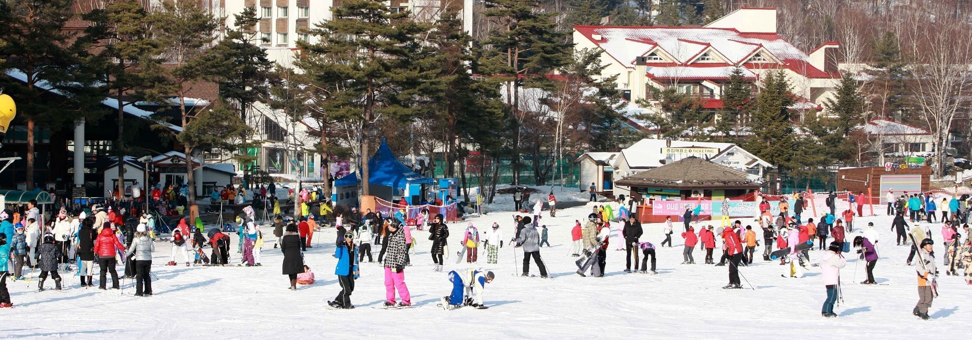 스키 2000x700 용평