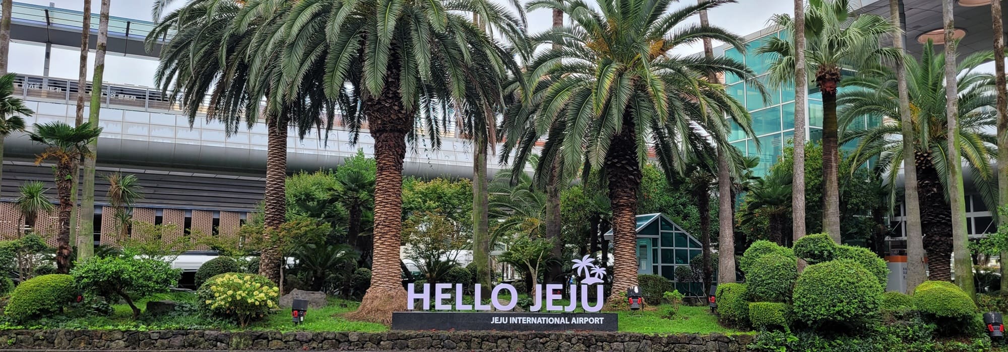 hello jeju 2000X700